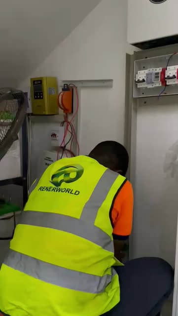 Renerworld technician working beside an installed power system